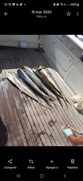 Offshore Fishing Trip