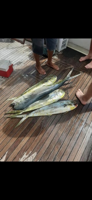 Offshore Fishing Trip