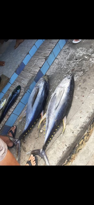 Offshore Fishing Trip