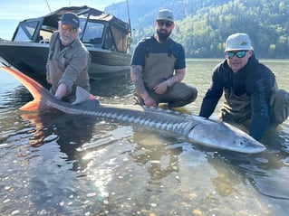 World Class Fraser Sturgeon Fishing
