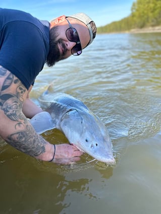 World Class Fraser Sturgeon Fishing
