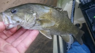 Lake And Reservoir Fishing