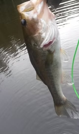 Lake And Reservoir Fishing