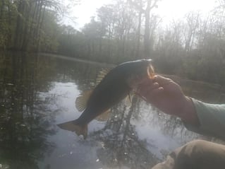 Lake And Reservoir Fishing
