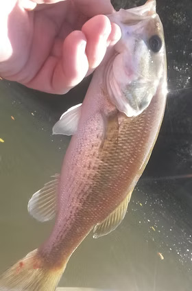 Lake And Reservoir Fishing