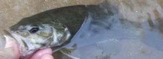 Lake And Reservoir Fishing