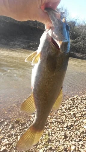 Lake And Reservoir Fishing