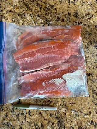 Full Day Pontoon Fishing Trip