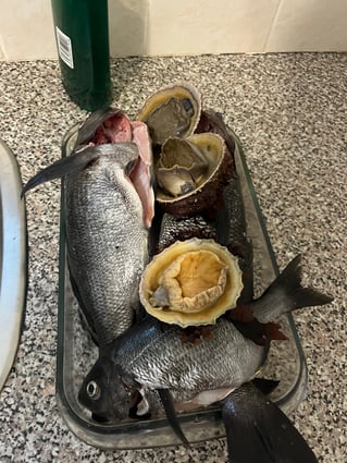 Shore Dive Spearfishing Trip