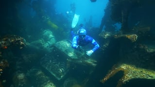 Shore Dive Spearfishing Trip