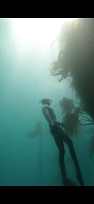 Shore Dive Spearfishing Trip