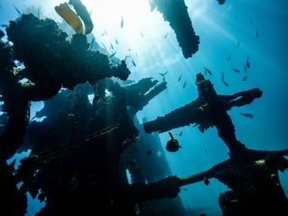 Shore Dive Spearfishing Trip