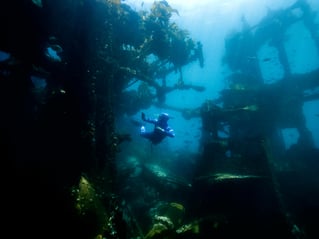 Shore Dive Spearfishing Trip