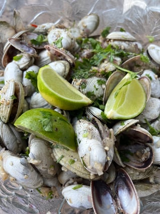 Shore Dive Spearfishing Trip