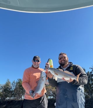 4-8 Hour Inshore Trip