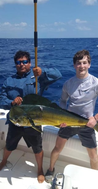 Fishing Charter, Puerto Aventuras