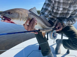 Freeman’s Fly Guy Charters 