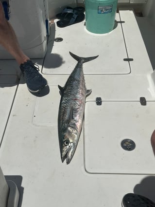 Catching Fish And Having Fun