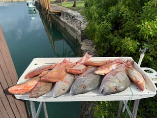 Catching Fish And Having Fun