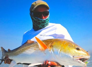 4-8 Hour Guided Fishing Trip