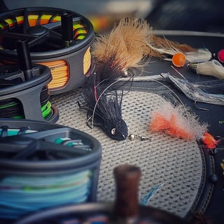 Streamer Fishing For Trophy Trout