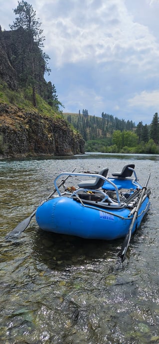 Streamer Fishing For Trophy Trout