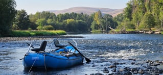 Streamer Fishing For Trophy Trout
