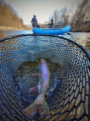 Streamer Fishing For Trophy Trout