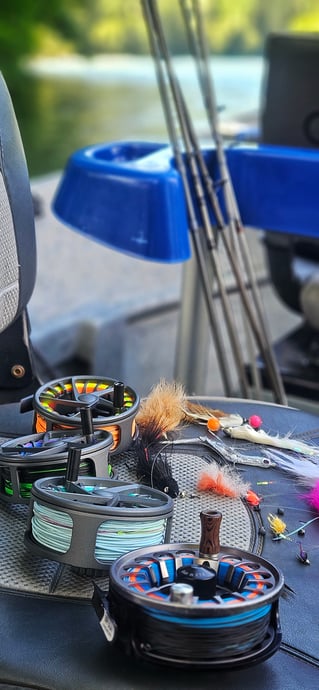 Streamer Fishing For Trophy Trout