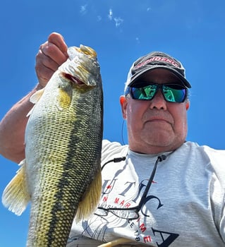 Lake Hartwell Fishing Trip