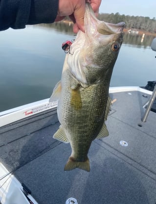 Lake Hartwell Fishing Trip