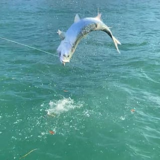 4-8 Hours Fishing Trip