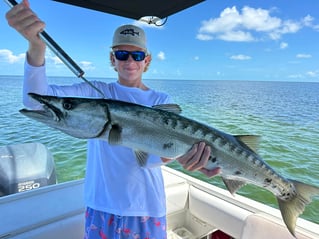 Spearfishing & Fishing