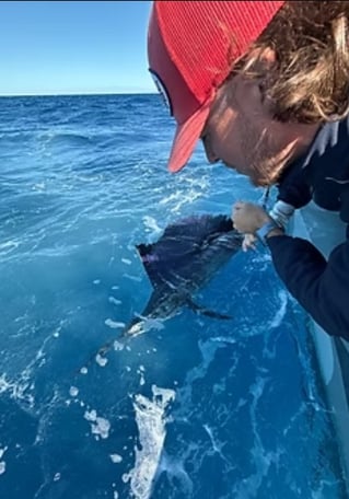 4-8 Hour Offshore Trip