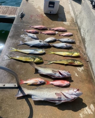 Palm Beach Offshore Trip