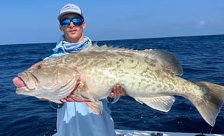 4-8 Hour Offshore Trip