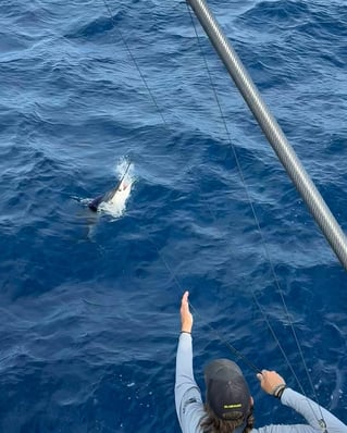 Palm Beach Offshore Trip