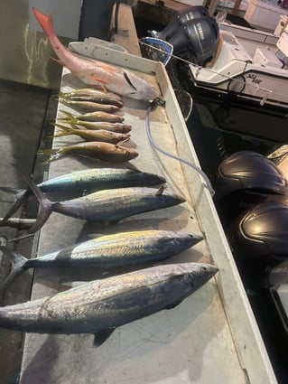 4-8 Hour Offshore Trip