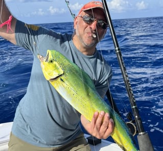 4-8 Hour Offshore Trip