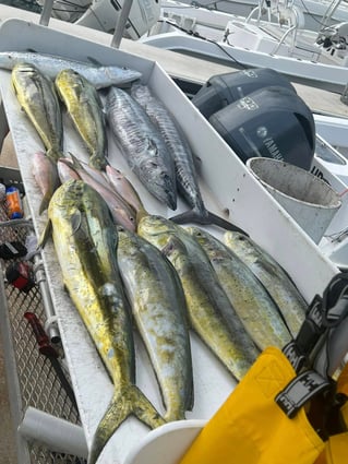 4-8 Hour Offshore Trip
