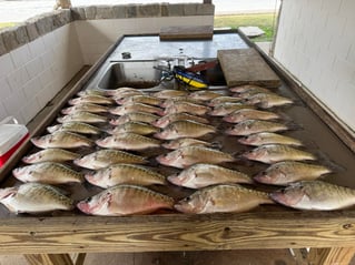 Crappie Trips