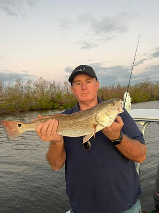 Half Day Trip – Inshore