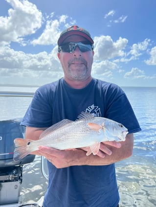 Half Day Trip – Inshore