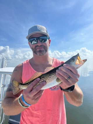 Half Day Trip – Inshore