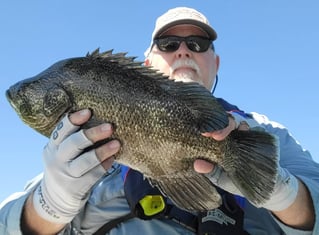 4-8 Hour Fishing Trip