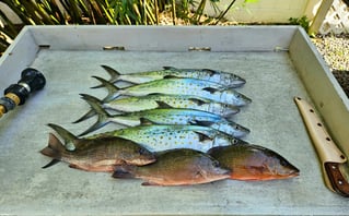 4-8 Hour Fishing Trip
