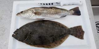 4-8 Hour Fishing Trip