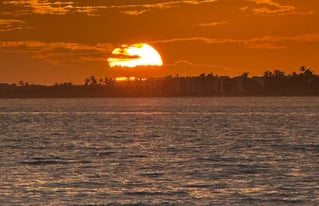 3 Hr – Dolphin & Sunset Cruise