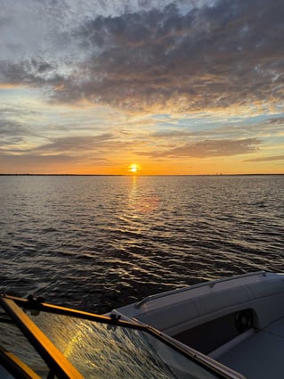 3 Hr – Dolphin & Sunset Cruise