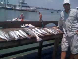 Inshore Fishing Trip